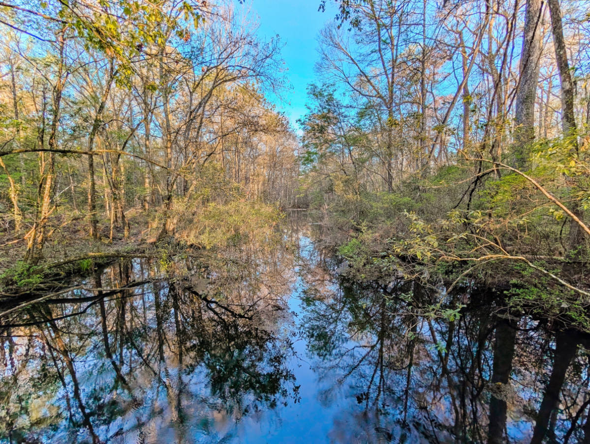 Springs Run of Sally Ward Trail at Edward Ball Wakulla Springs State Park Tallahassee Florida 1