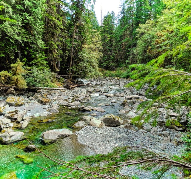 Staircase Rapids Hiking Olympic National Park 2019 1