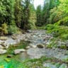 Staircase Rapids Hiking Olympic National Park 2019 1