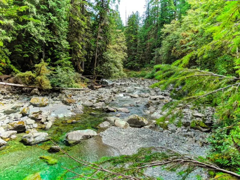 Staircase Rapids Hiking Olympic National Park 2019 1