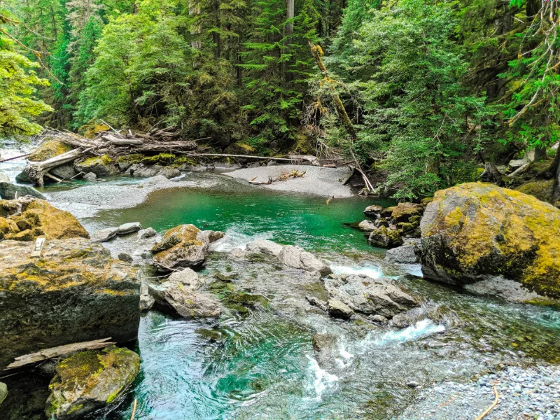 Staircase Rapids Hiking Olympic National Park 2019 3