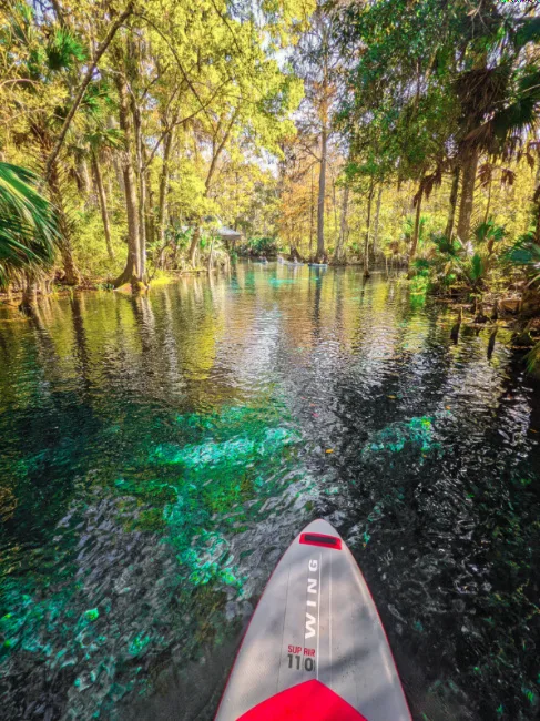 Stand Up Paddleboarding on Silver River in Silver Springs State Park Ocala Florida 3