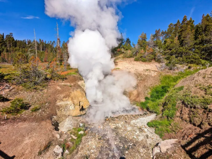 Steam at Mud Volcanoes Yellowstone National Park Wyoming 9