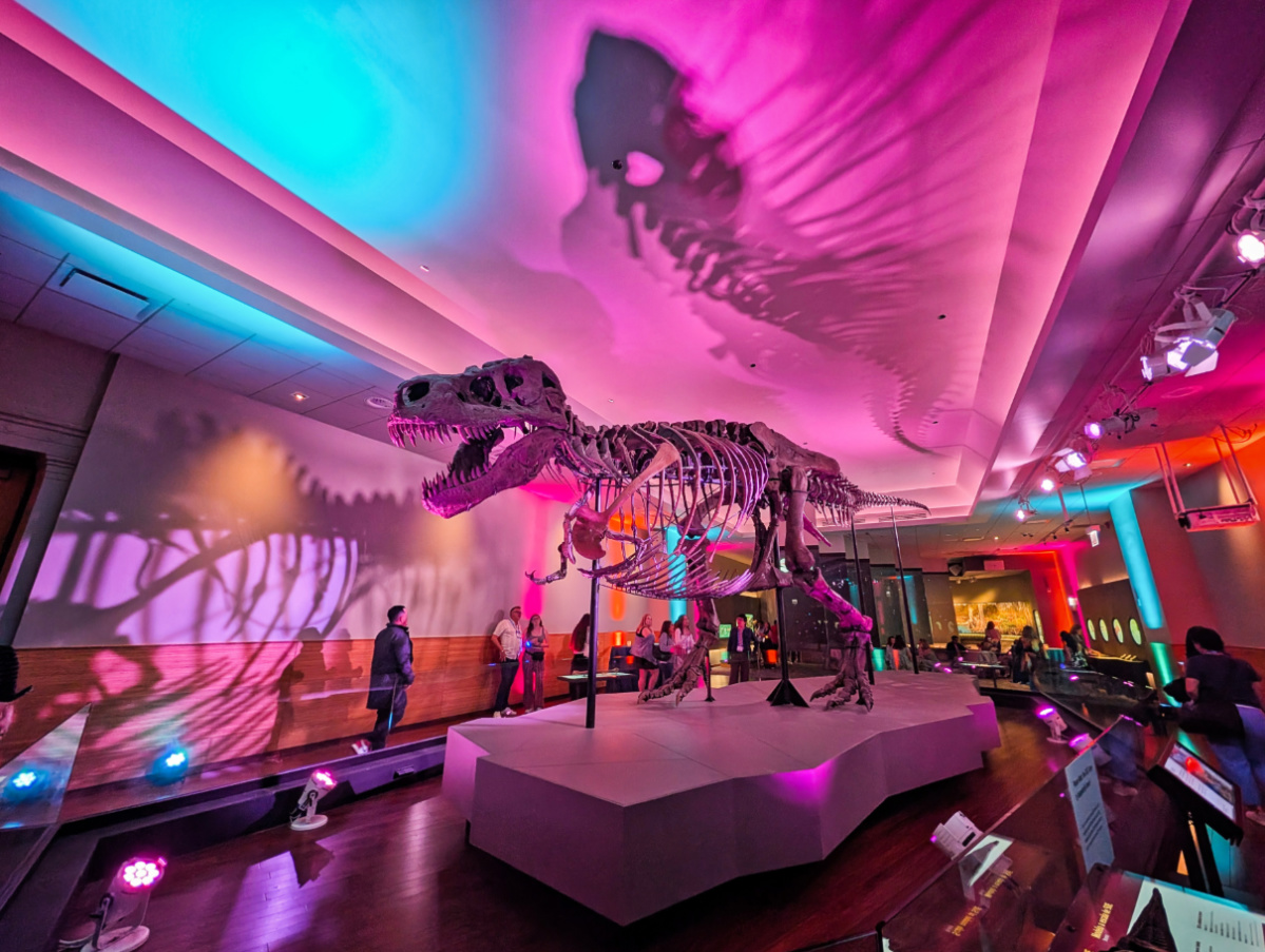 Sue the TRex Exhibit in Field Museum Chicago Illinois 2