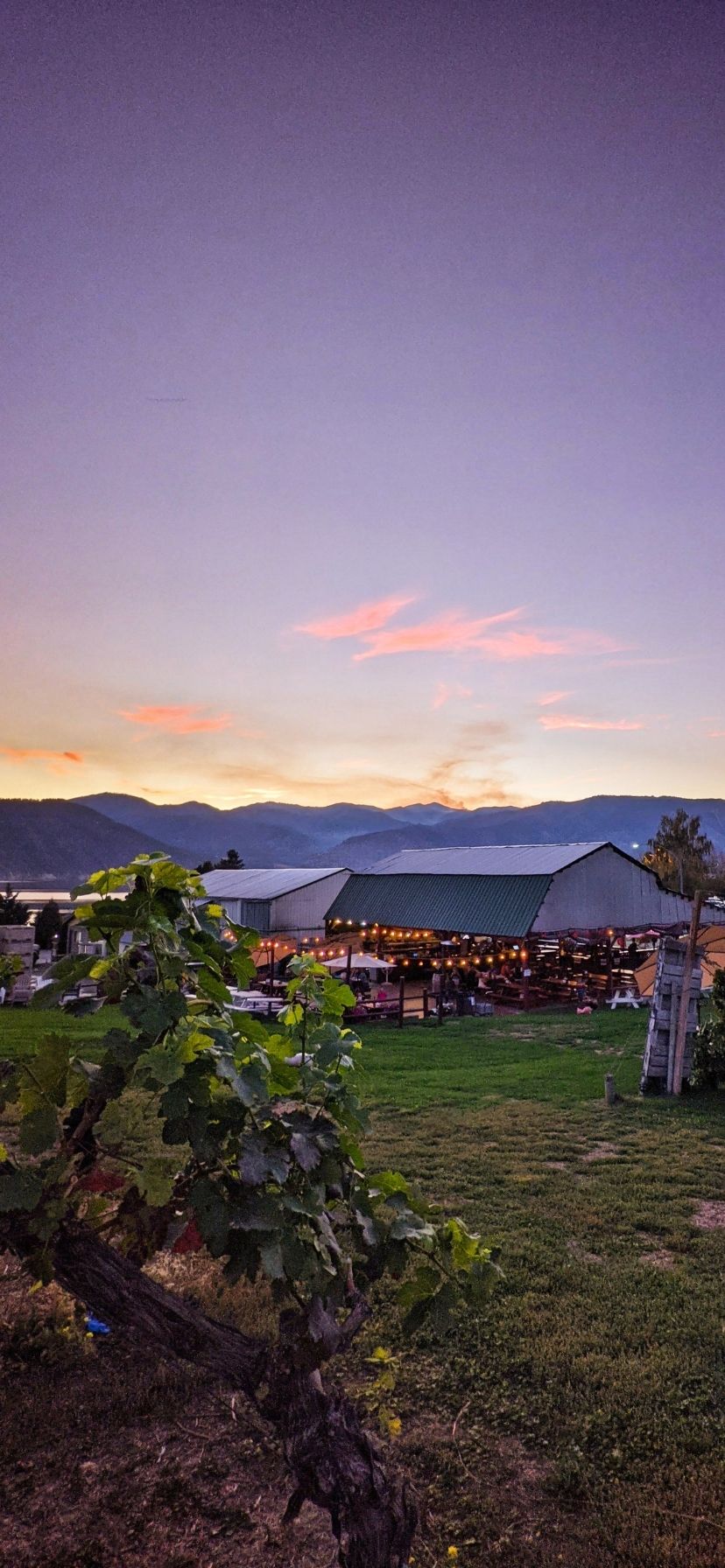 Sunset View at Lake Chelan Winery Washington Wine Country