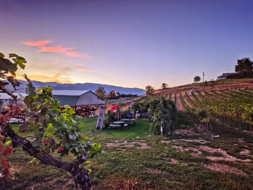 Sunset in Vineyard at Lake Chelan Winery Manson Washington 1