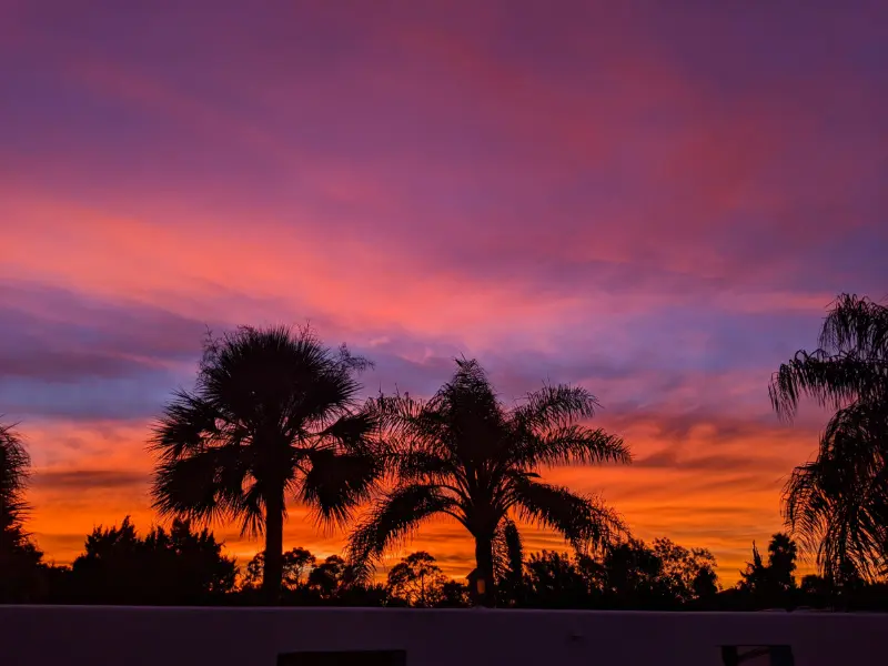 Sunset with Palm Trees from our house Butler Beach Florida 2020 1