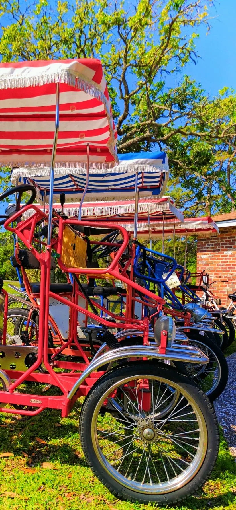 Surrey and Bike Rentals on Jekyll Island Georgia