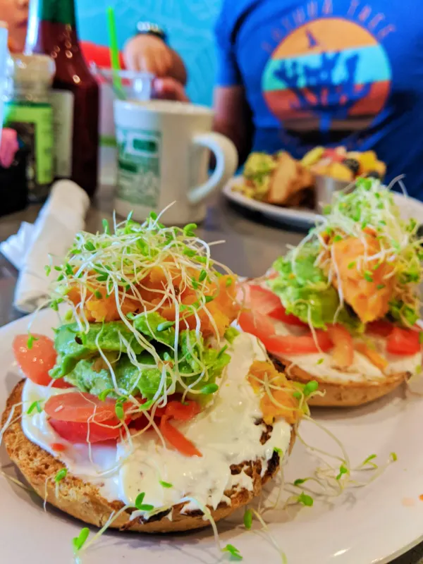 Sweet Potato Breakfast Bagel at Manatee Cafe Saint Augustine FL 1