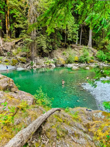 Swimming Hole at Staircase Rapids Hiking Olympic National Park 2019 1