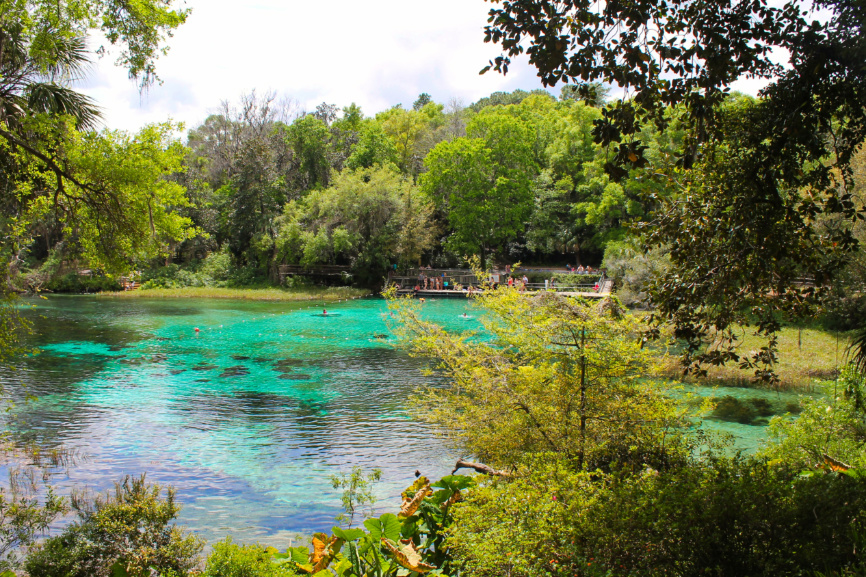 Swimming area at Rainbow Springs Florida State Park 3