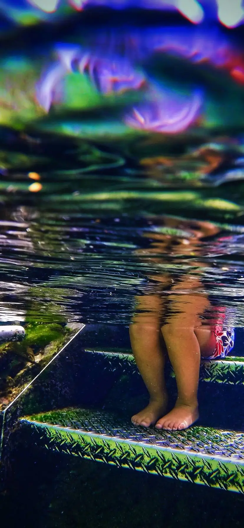 Swimming at Blue Spring State Park Florida