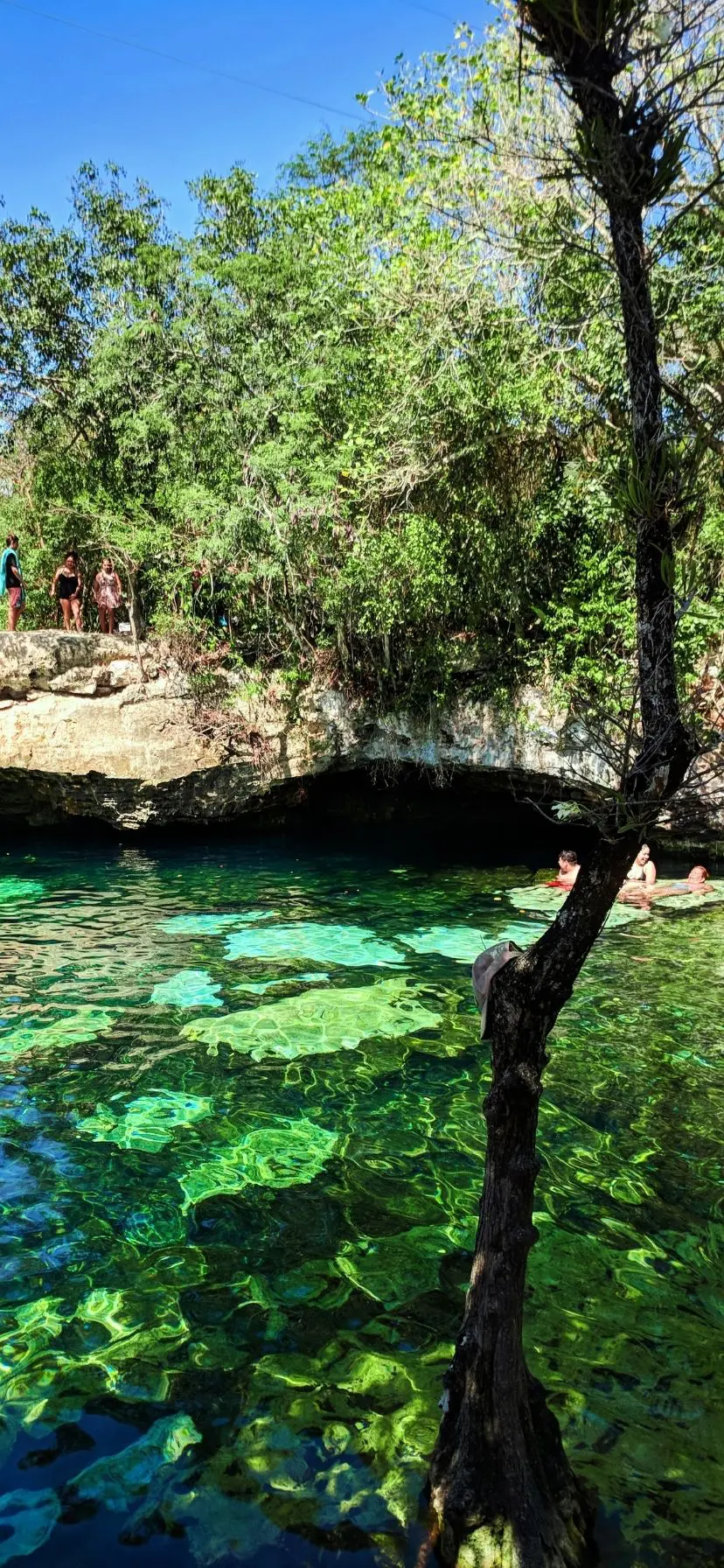 The Cenotes near Cancun are amazing and really easy to add to a beach vacation. Cenotes are even easy to visit as a cruise excursion from a Caribbean Mexico port of call or Yucatan road trip.