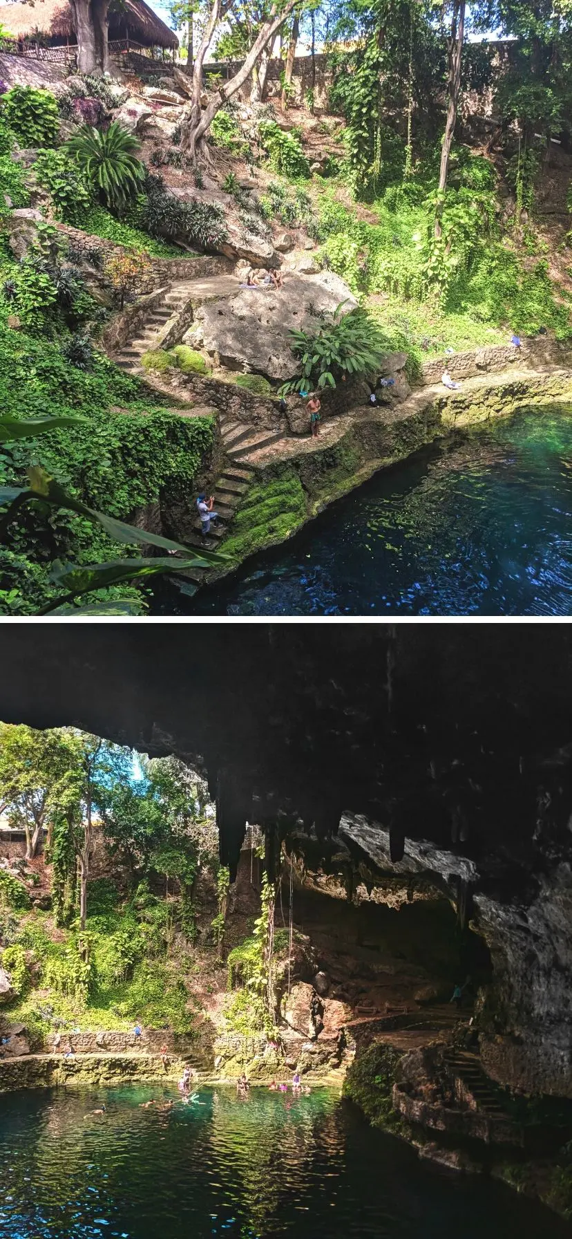 The Cenotes near Cancun are amazing and really easy to add to a beach vacation. Cenotes are even easy to visit as a cruise excursion from a Caribbean Mexico port of call or Yucatan road trip.