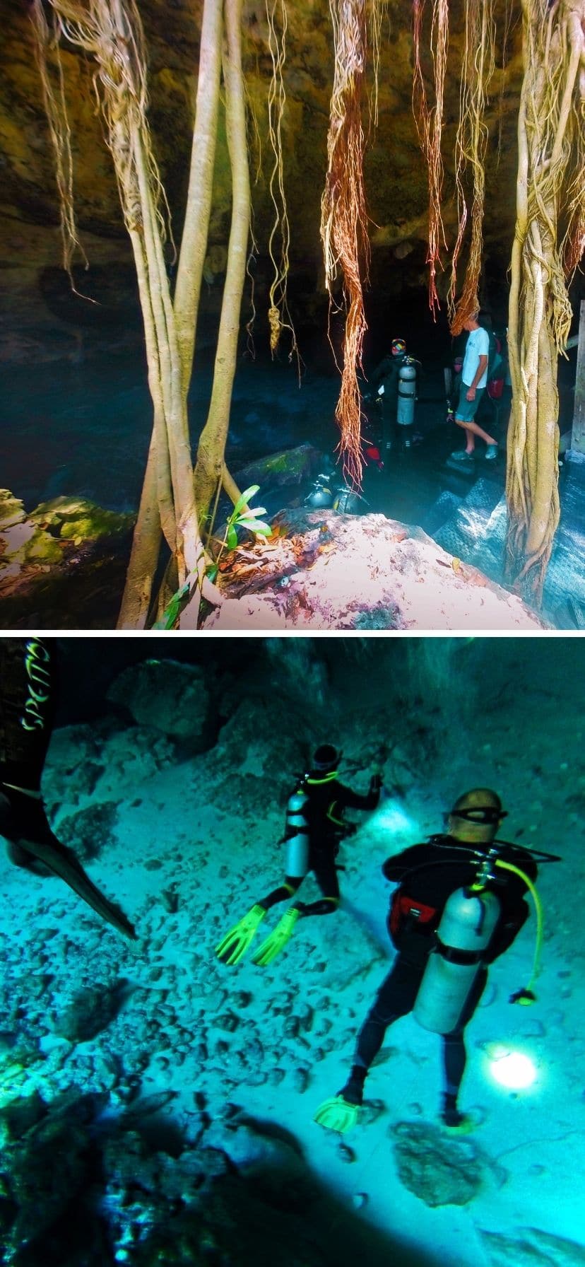 The Cenotes near Cancun are amazing and really easy to add to a beach vacation. Cenotes are even easy to visit as a cruise excursion from a Caribbean Mexico port of call or Yucatan road trip.
