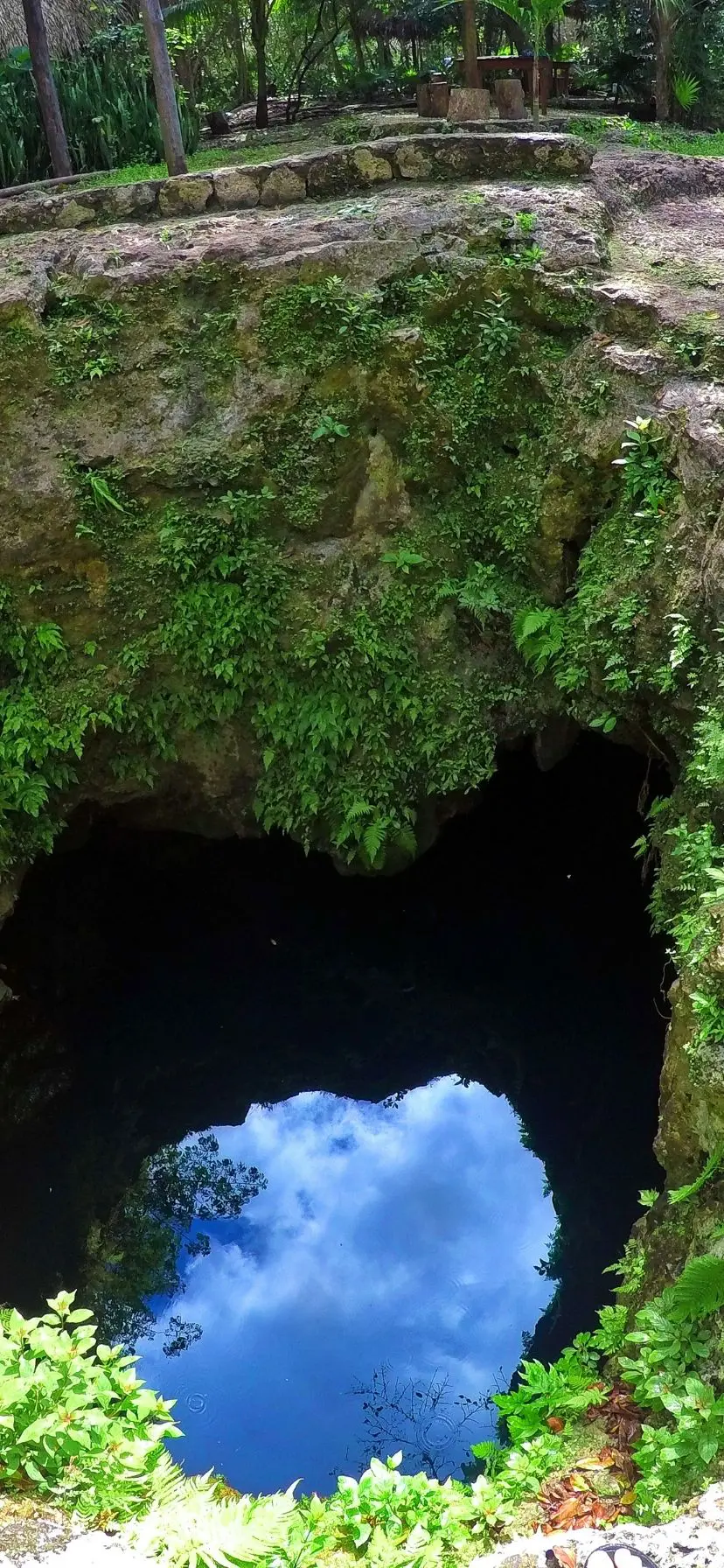 The Cenotes near Cancun are amazing and really easy to add to a beach vacation. Cenotes are even easy to visit as a cruise excursion from a Caribbean Mexico port of call or Yucatan road trip.