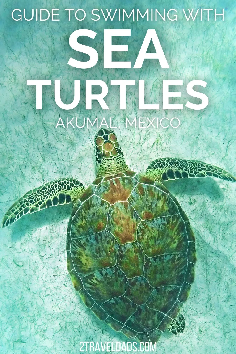 Swimming with Sea Turtles in Akumal, Mexico is really neat, but also can have a negative impact on the animal. Tips for how to see sea turtles, how to respectfully observe and what to expect in Akumal, Mexico.