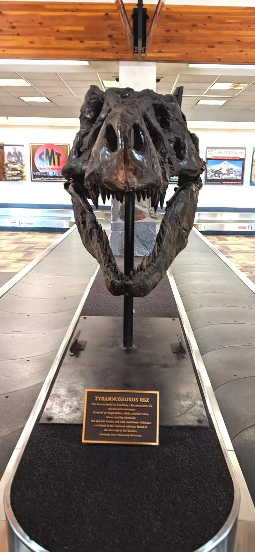 T Rex in Bozeman Yellowstone Airport Montana Road Trip