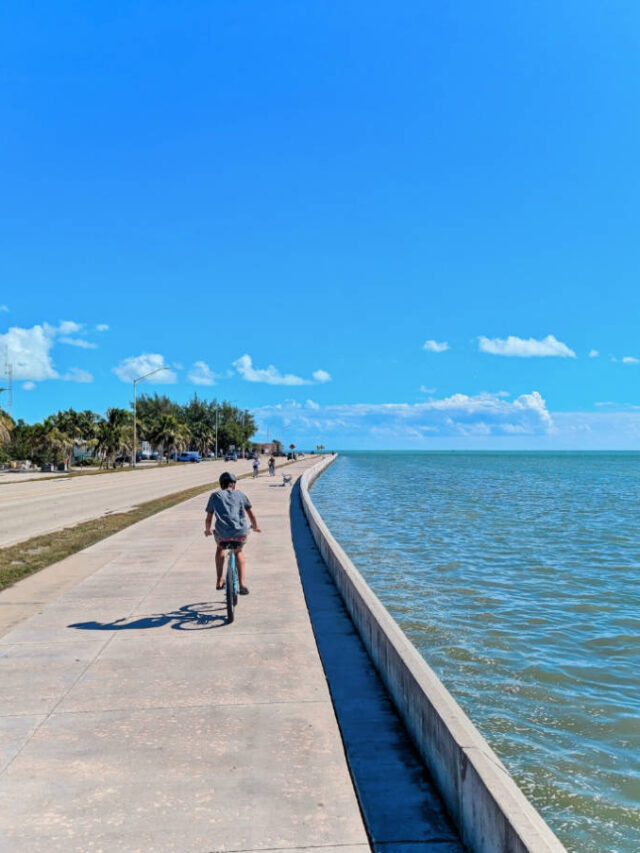 Taylor Family Biking Roosevelt Blvd at Smathers Beach Key West Florida Keys 1