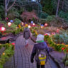 Taylor Family Butchart Gardens Christmas Victoria BC 4