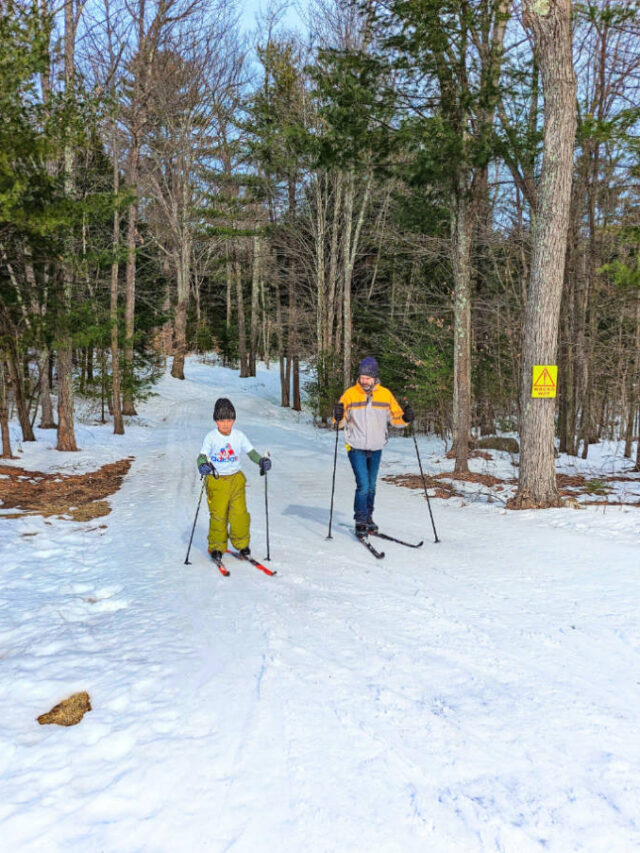 Taylor Family Cross Country Skiing at Pineland Farms New Gloucester Maine 18