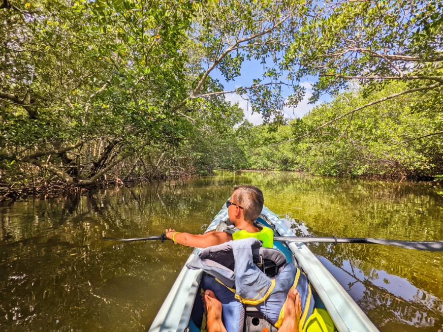 Taylor Family Kayaking Commodore Creek Kayak Trail Ding Darling Wildlife Refuge Sanibel Island Fort Myers Florida 6