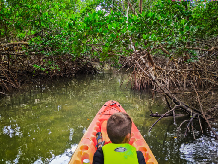 Taylor Family Kayaking in mangroves at Curry Hammock State Park Fat Duck Key Marathon Florida Keys 2020 5