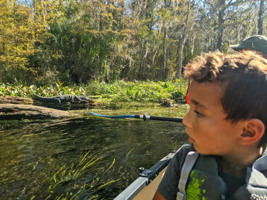 Taylor Family Kayaking with Alligator at Silver Springs State Park Ocala National Forest Florida 1