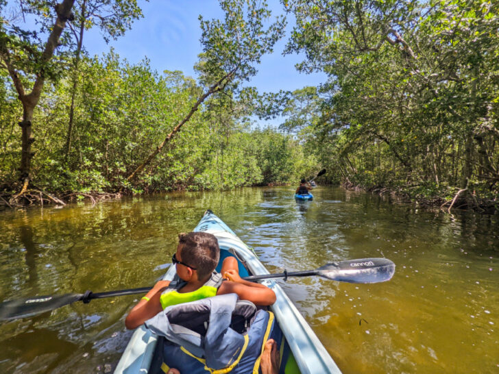 Guided Kayaking on Tarpon Bay at Sanibel Island, Florida
