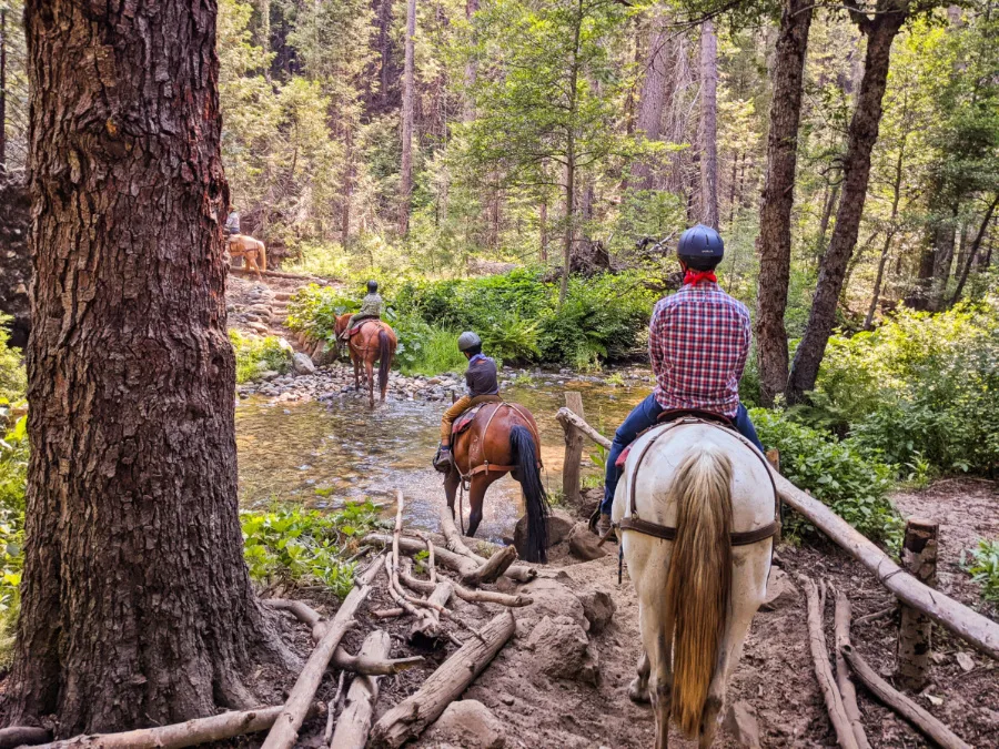 Taylor Family Riding Horses with Yosemite Trails Horseback Adventures Sierra National Forest 1