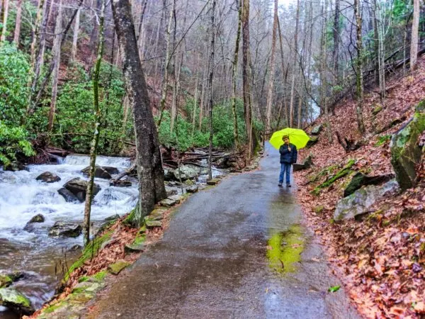 Taylor Family at Anna Ruby Falls near Alpine Helen North Georgia 5