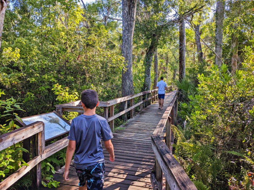 Taylor Family at Big Cypress Bend Boardwalk Fakahatchee Strand State Park Big Cypress National Preserve Florida 2