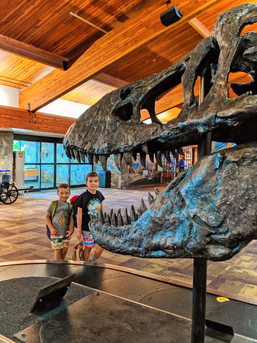 Taylor Family at Bozeman Yellowstone Airport with TRex Skull Montana 1