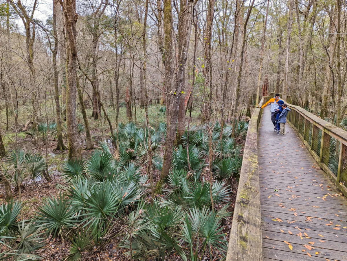 Taylor Family at Congaree National Park in Winter Columbia South Carolina 4