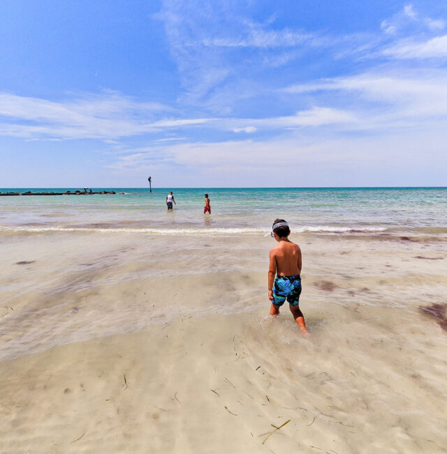 Florida Gulf Coast