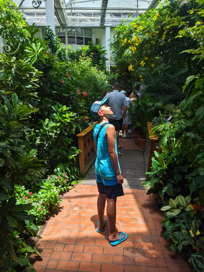 Taylor Family at Key West Butterfly and Nature Conservatory Florida Keys 5