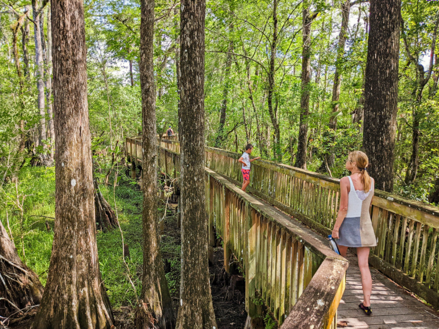 Taylor Family at Kirby Storter Boardwalk Trail Big Cypress National Preserve Florida 6