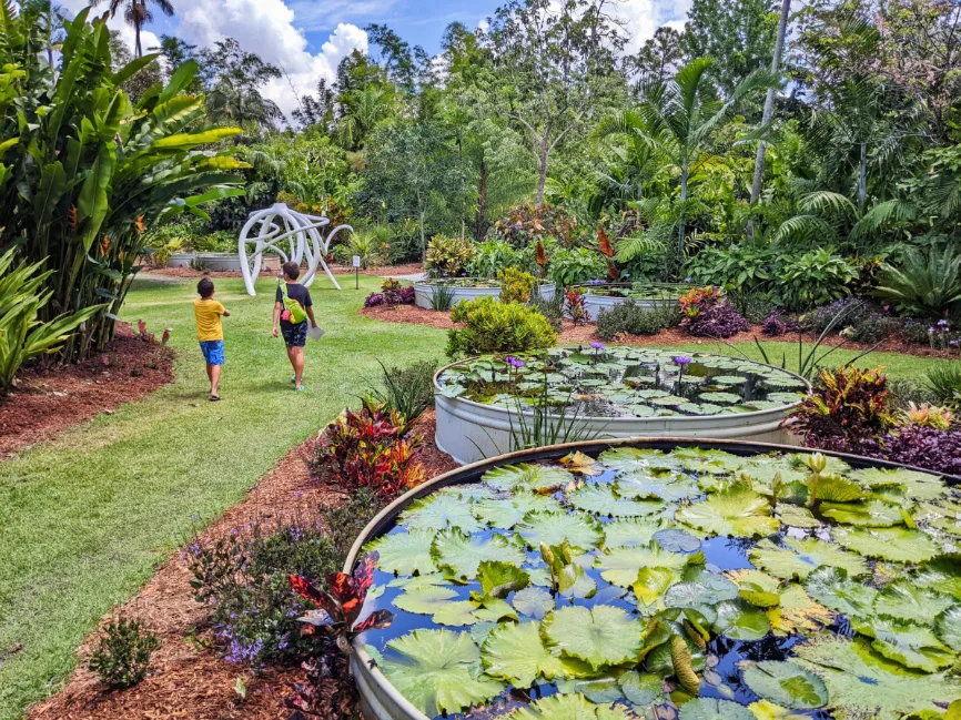 Taylor Family at Lily Ponds at Naples Botanical Gardens Naples Florida 2