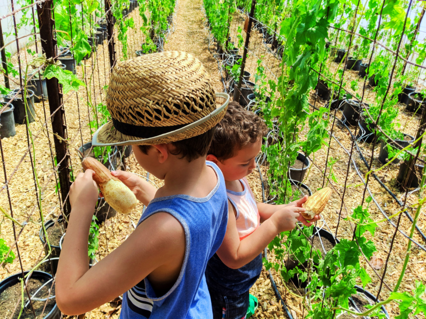 Taylor Family at Luffa Farm Nipomo Santa Maria Valley California 8