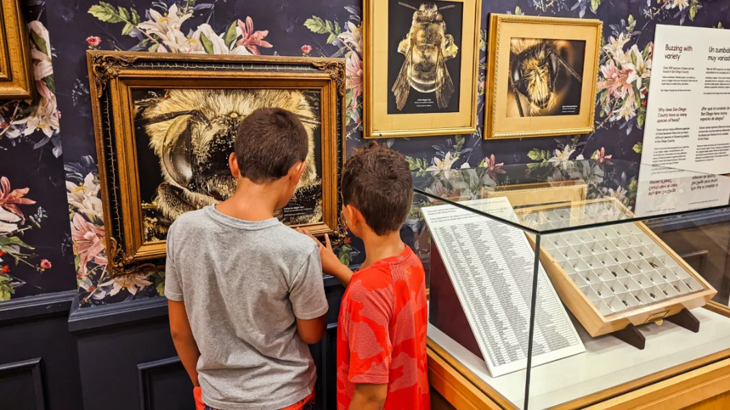 Taylor Family at Museum of Natural History at Balboa Park San Diego California 5