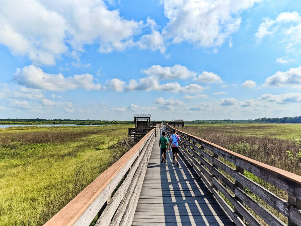 Taylor Family at Myakka River State Park Sarasota Florida 1