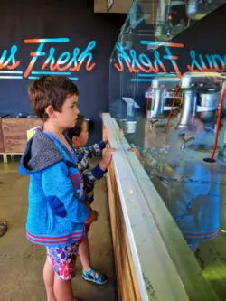 Taylor Family at Nite Creamery Santa Maria Valley California 3