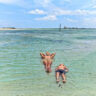 Taylor Family at Ponce Inlet Sandbar SUP Daytona Beach Florida