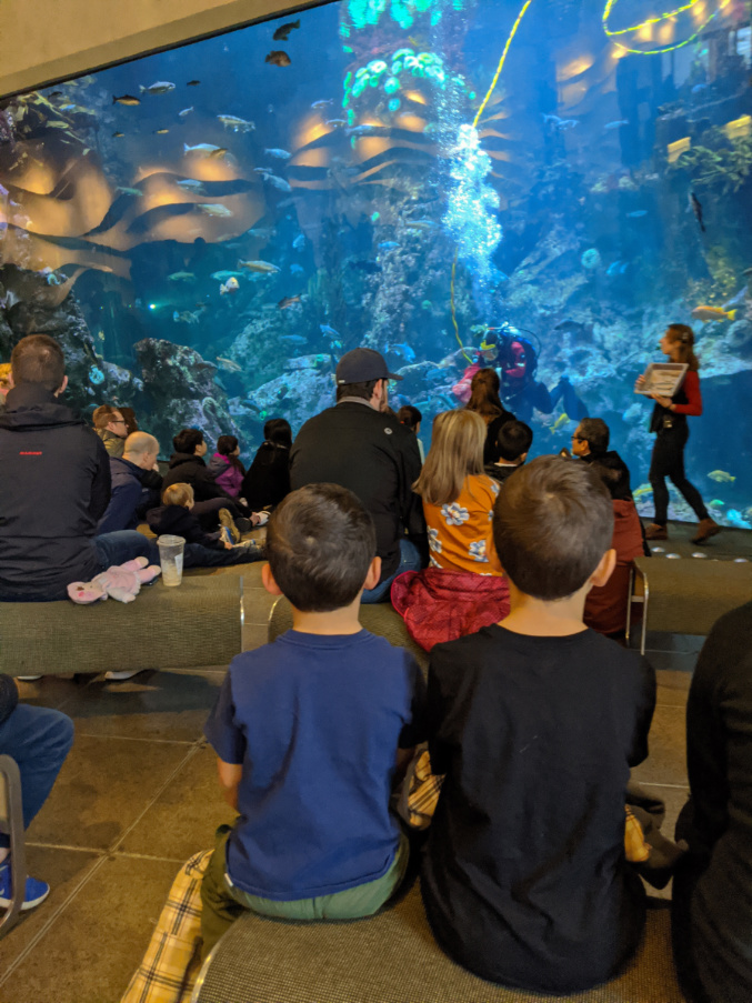 Taylor Family at Seattle Aquarium 2