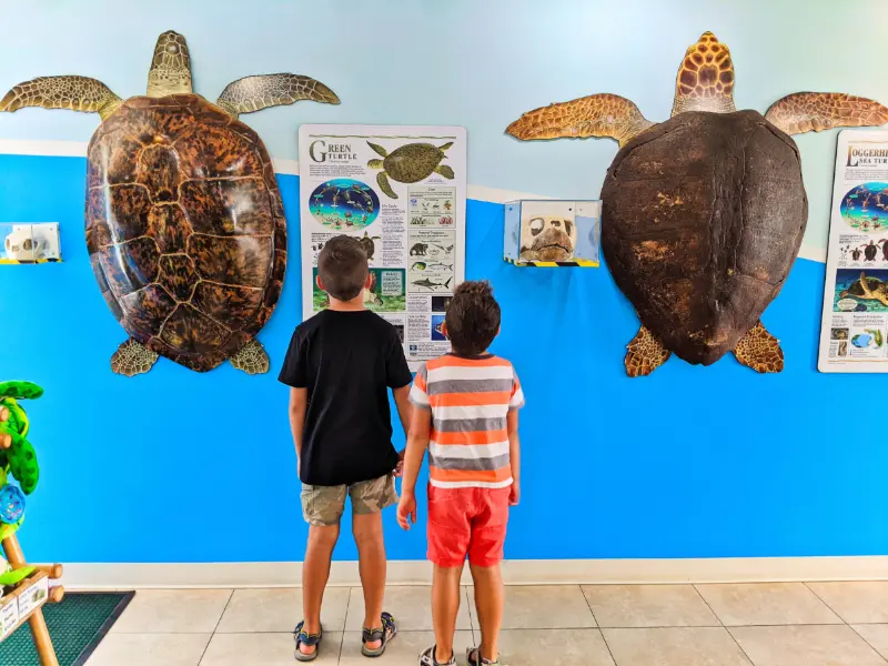 Taylor Family at Turtle Hospital Marathon Florida Keys 2020 1