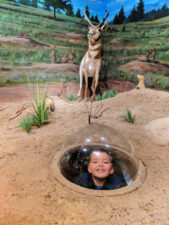 Taylor-Family-at-Visitor-Center-at-Bryce-Canyon-National-Park-Utah-3-169x225.jpg