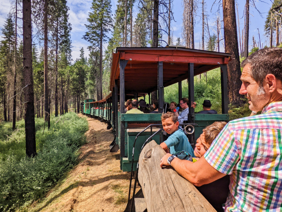 Taylor Family at Yosemite Sugar Pine Railroad Sierra National Forest 2