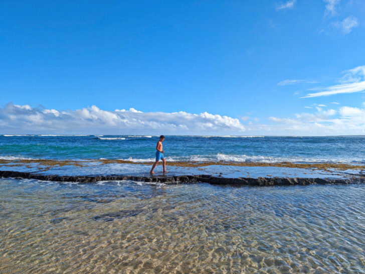 Taylor Family at beach in Kapaa Kauai Hawaii 2