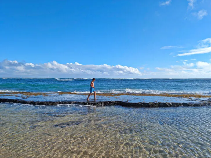 Review of Sheraton Coconut Beach Resort in Beautiful Kapaa Kauai