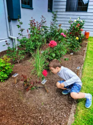 Taylor Family at rose garden Fort Stevens Astoria Oregon 1